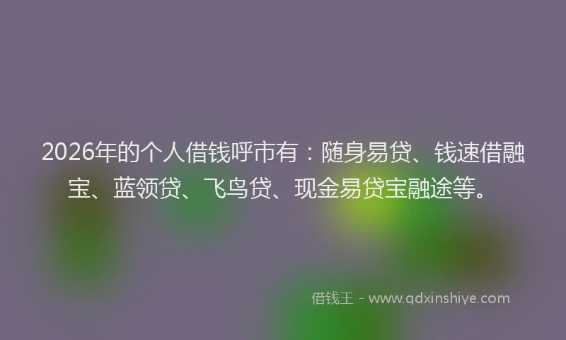 2026年的个人借钱呼市有：随身易贷、钱速借融宝、蓝领贷、飞鸟贷、现金易贷宝融途等。