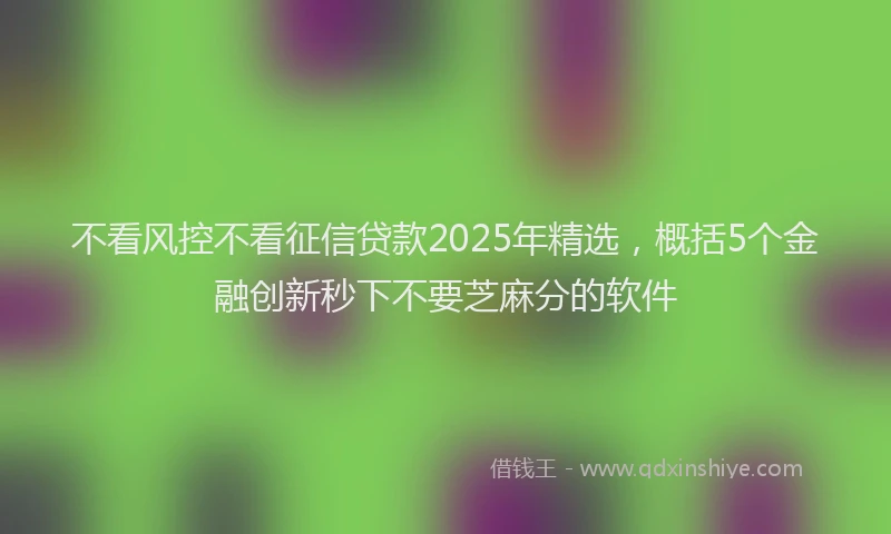 不看风控不看征信贷款2025年精选，概括5个金融创新秒下不要芝麻分的软件