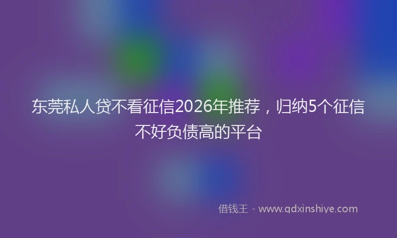 东莞私人贷不看征信2026年推荐，归纳5个征信不好负债高的平台