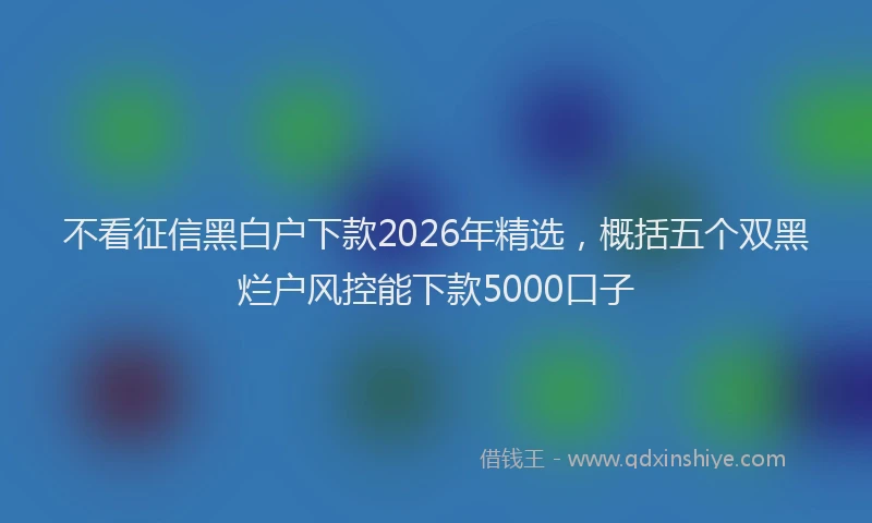 不看征信黑白户下款2026年精选,概括五个双黑烂户风控能下款5000口子