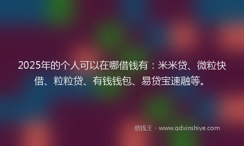 2025年的个人可以在哪借钱有：米米贷、微粒快借、粒粒贷、有钱钱包、易贷宝速融等。