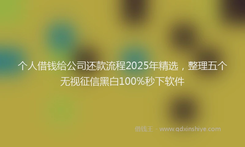 个人借钱给公司还款流程2025年精选,整理五个无视征信黑白100%秒下软件