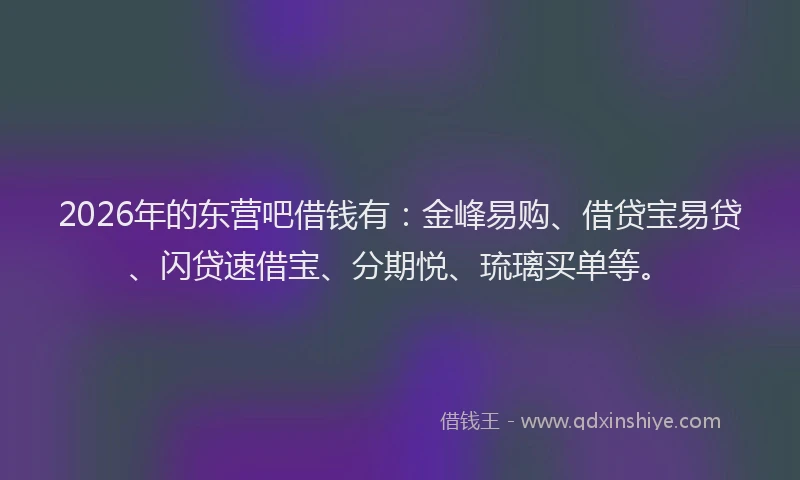 2026年的东营吧借钱有:金峰易购、借贷宝易贷、闪贷速借宝、分期悦、琉璃买单等。