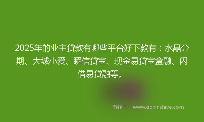 2025年的业主贷款有哪些平台好下款有:水晶分期、大城小爱、瞬信贷宝、现金易贷宝盒融、闪借易贷融等。