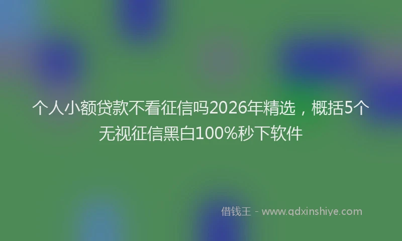 个人小额贷款不看征信吗2026年精选，概括5个无视征信黑白100%秒下软件