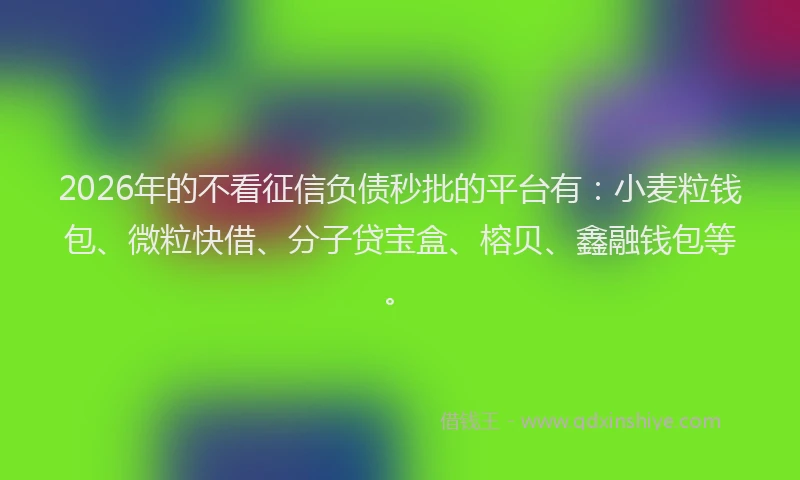 2026年的不看征信负债秒批的平台有：小麦粒钱包、微粒快借、分子贷宝盒、榕贝、鑫融钱包等。