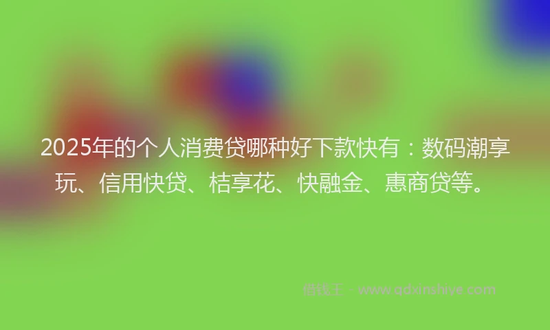 2025年的个人消费贷哪种好下款快有：数码潮享玩、信用快贷、桔享花、快融金、惠商贷等。