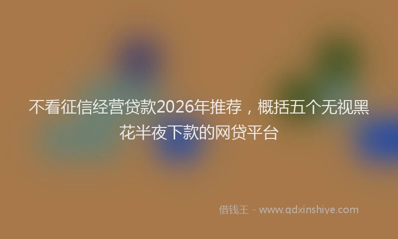 不看征信经营贷款2026年推荐，概括五个无视黑花半夜下款的网贷平台