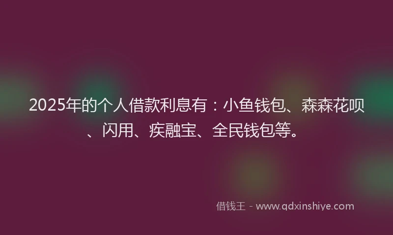 2025年的个人借款利息有：小鱼钱包、森森花呗、闪用、疾融宝、全民钱包等。