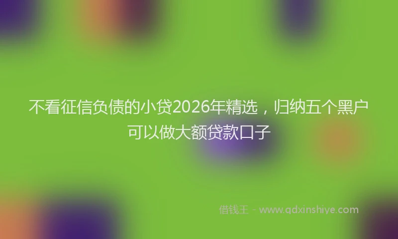 不看征信负债的小贷2026年精选,归纳五个黑户可以做大额贷款口子