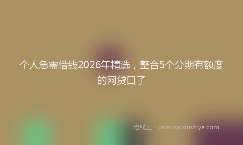 个人急需借钱2026年精选，整合5个分期有额度的网贷口子