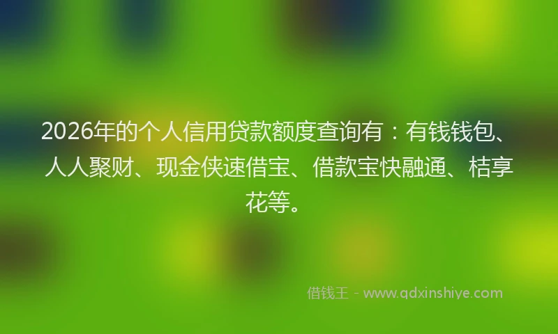 2026年的个人信用贷款额度查询有：有钱钱包、人人聚财、现金侠速借宝、借款宝快融通、桔享花等。
