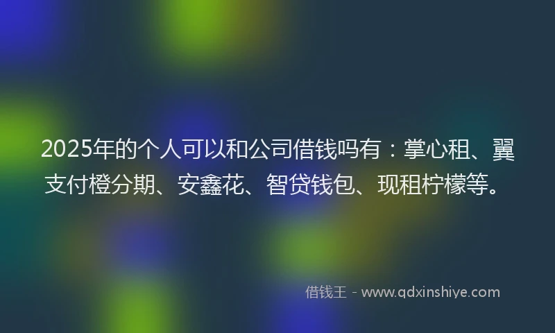 2025年的个人可以和公司借钱吗有：掌心租、翼支付橙分期、安鑫花、智贷钱包、现租柠檬等。