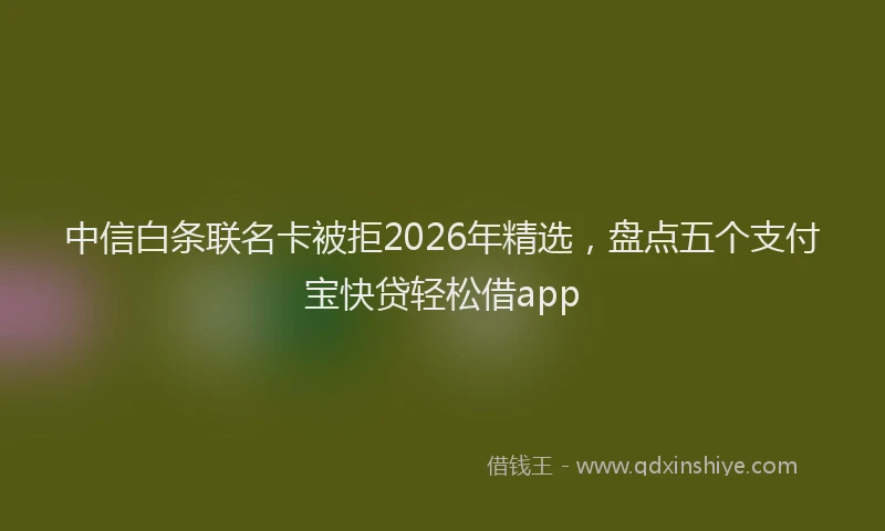 中信白条联名卡被拒2026年精选，盘点五个支付宝快贷轻松借app