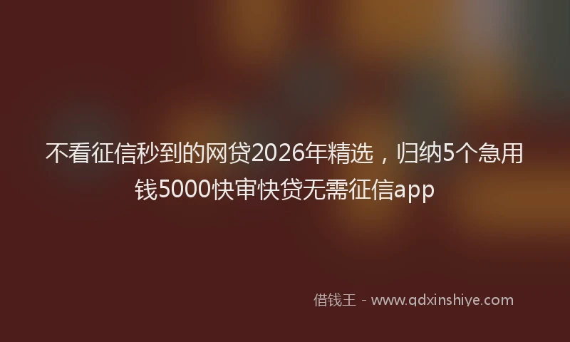 不看征信秒到的网贷2026年精选，归纳5个急用钱5000快审快贷无需征信app