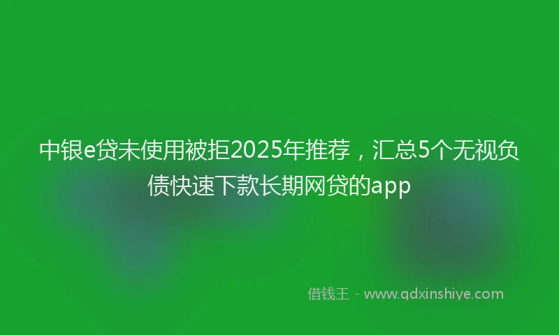 中银e贷未使用被拒2025年推荐，汇总5个无视负债快速下款长期网贷的app