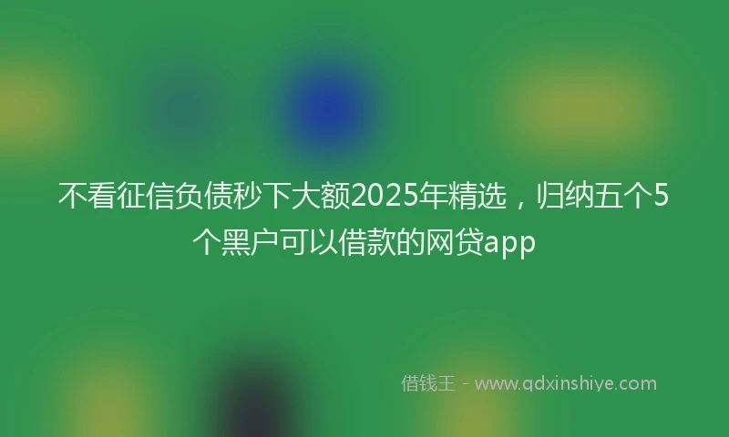 不看征信负债秒下大额2025年精选，归纳五个5个黑户可以借款的网贷app