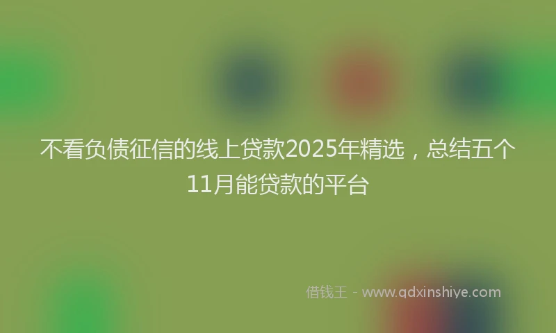 不看负债征信的线上贷款2025年精选，总结五个11月能贷款的平台