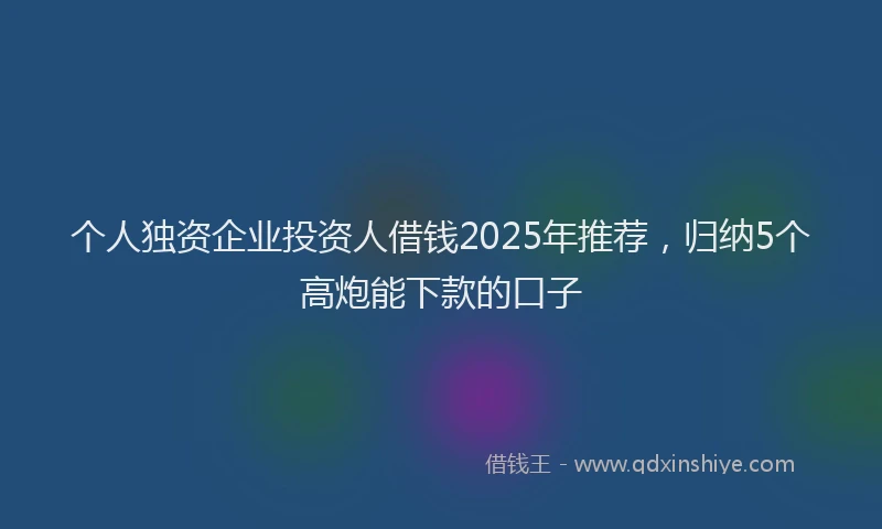 个人独资企业投资人借钱2025年推荐，归纳5个高炮能下款的口子