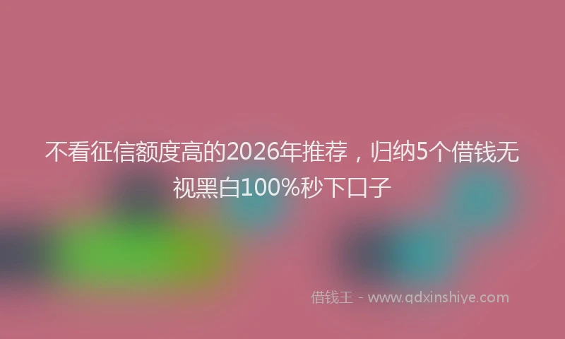 不看征信额度高的2026年推荐，归纳5个借钱无视黑白100%秒下口子