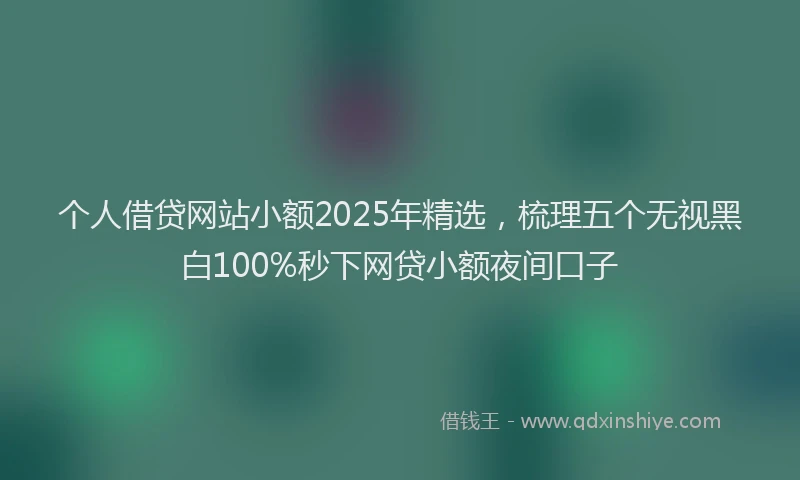 个人借贷网站小额2025年精选，梳理五个无视黑白100%秒下网贷小额夜间口子