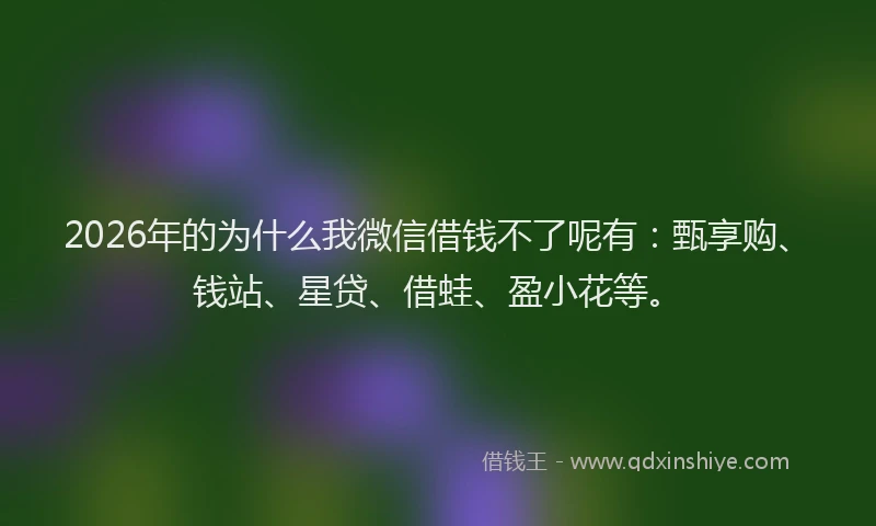 2026年的为什么我微信借钱不了呢有：甄享购、钱站、星贷、借蛙、盈小花等。