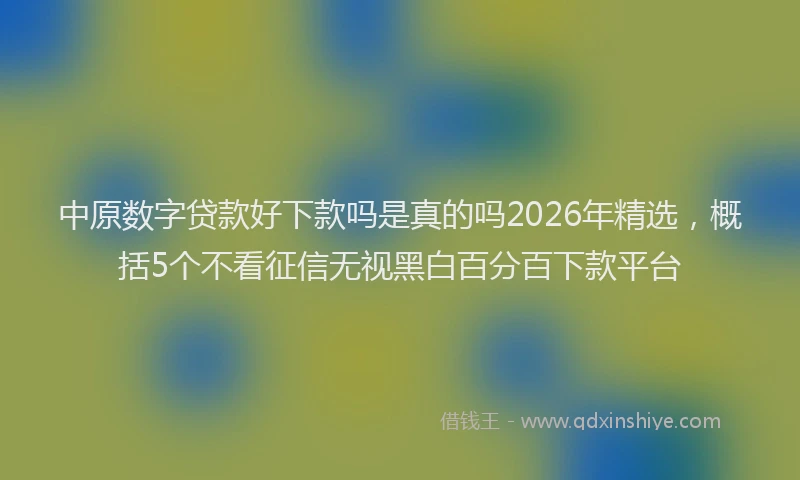 中原数字贷款好下款吗是真的吗2026年精选，概括5个不看征信无视黑白百分百下款平台