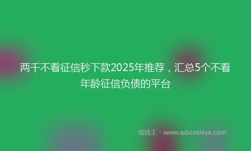 两千不看征信秒下款2025年推荐，汇总5个不看年龄征信负债的平台
