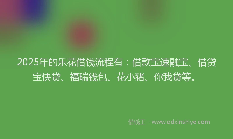 2025年的乐花借钱流程有：借款宝速融宝、借贷宝快贷、福瑞钱包、花小猪、你我贷等。
