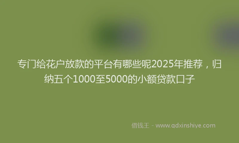 专门给花户放款的平台有哪些呢2025年推荐,归纳五个1000至5000的小额贷款口子