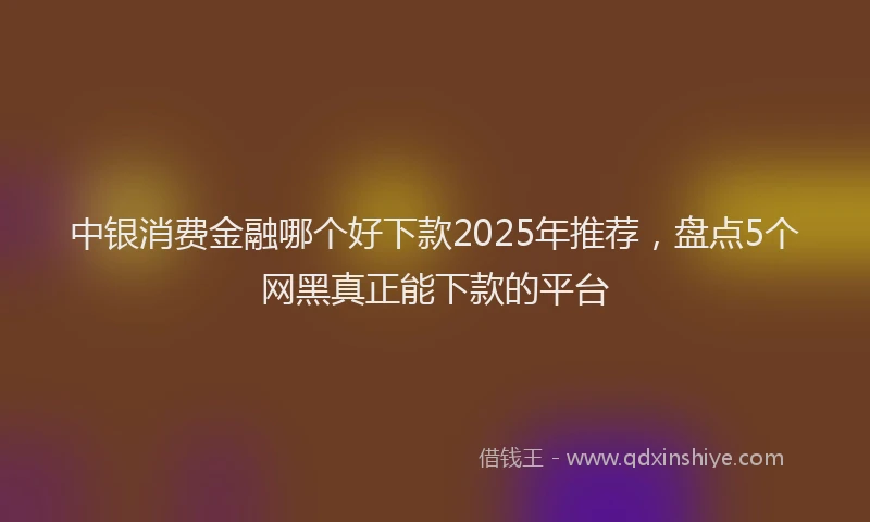 中银消费金融哪个好下款2025年推荐，盘点5个网黑真正能下款的平台
