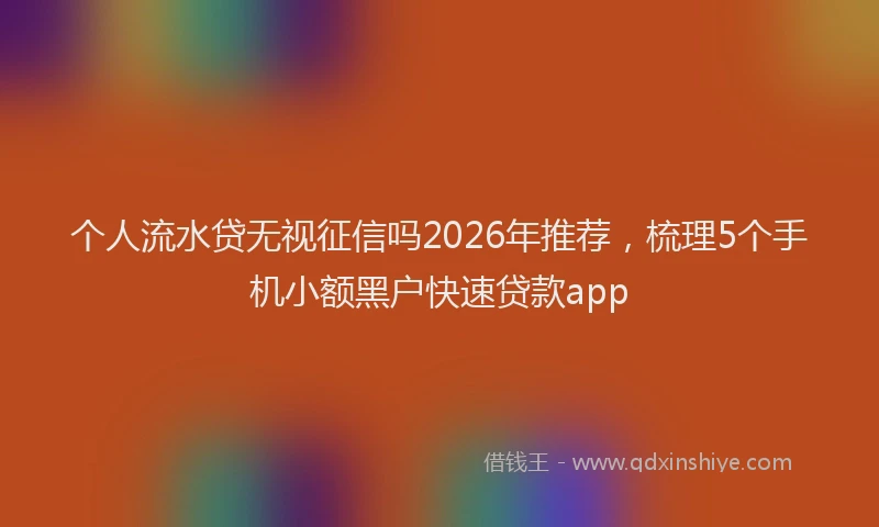 个人流水贷无视征信吗2026年推荐，梳理5个手机小额黑户快速贷款app