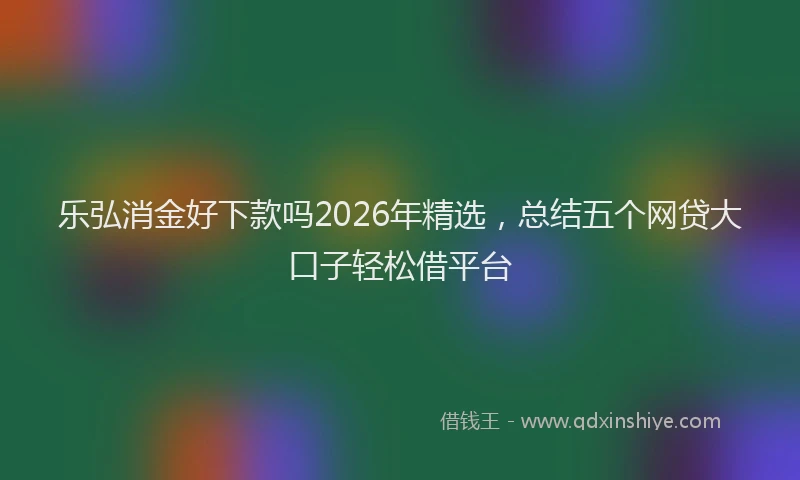 乐弘消金好下款吗2026年精选，总结五个网贷大口子轻松借平台