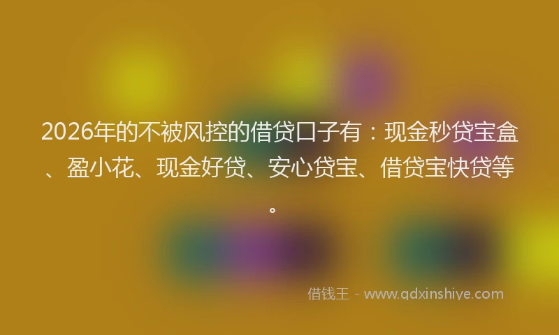 2026年的不被风控的借贷口子有：现金秒贷宝盒、盈小花、现金好贷、安心贷宝、借贷宝快贷等。