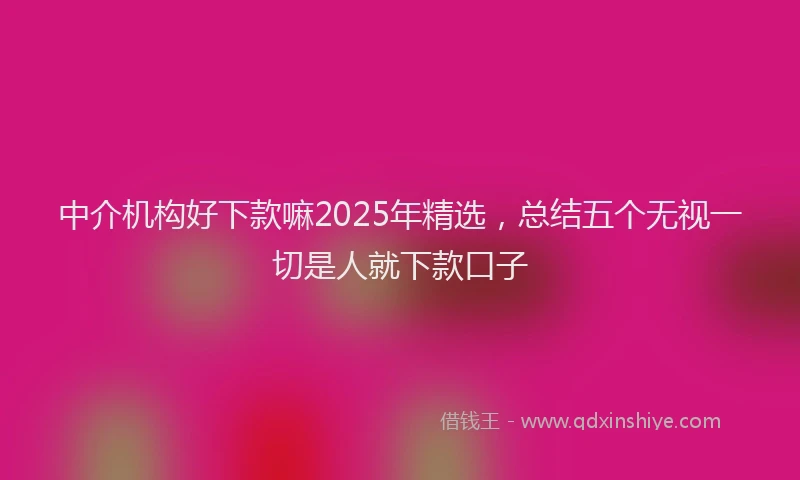 中介机构好下款嘛2025年精选，总结五个无视一切是人就下款口子