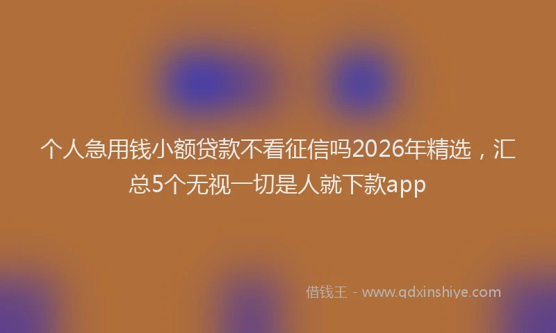 个人急用钱小额贷款不看征信吗2026年精选，汇总5个无视一切是人就下款app
