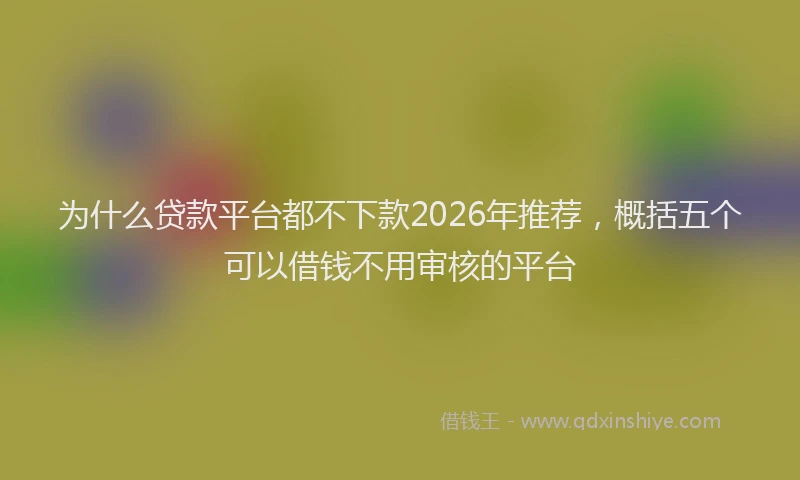 为什么贷款平台都不下款2026年推荐,概括五个可以借钱不用审核的平台