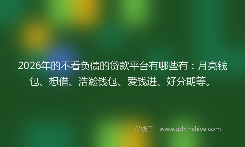 2026年的不看负债的贷款平台有哪些有：月亮钱包、想借、浩瀚钱包、爱钱进、好分期等。