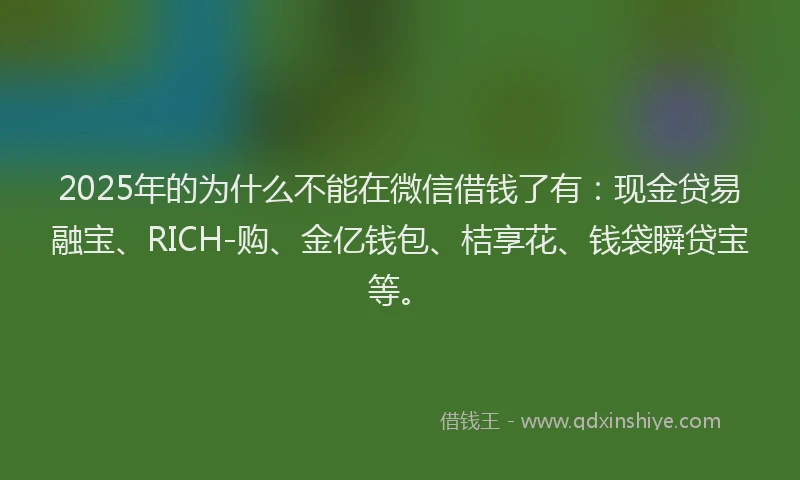 2025年的为什么不能在微信借钱了有：现金贷易融宝、RICH-购、金亿钱包、桔享花、钱袋瞬贷宝等。