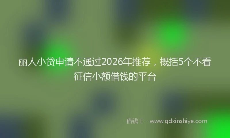 丽人小贷申请不通过2026年推荐，概括5个不看征信小额借钱的平台
