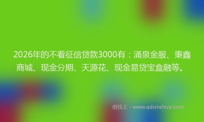 2026年的不看征信贷款3000有：涌泉金服、秉鑫商城、现金分期、天源花、现金易贷宝盒融等。