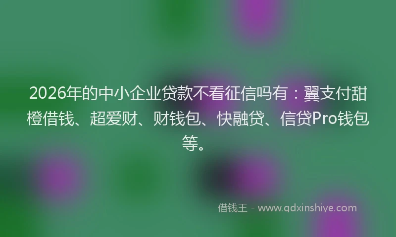 2026年的中小企业贷款不看征信吗有：翼支付甜橙借钱、超爱财、财钱包、快融贷、信贷Pro钱包等。