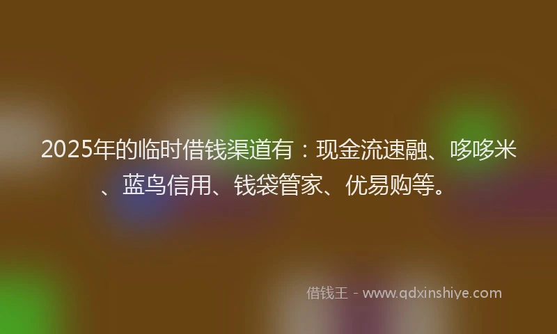 2025年的临时借钱渠道有：现金流速融、哆哆米、蓝鸟信用、钱袋管家、优易购等。