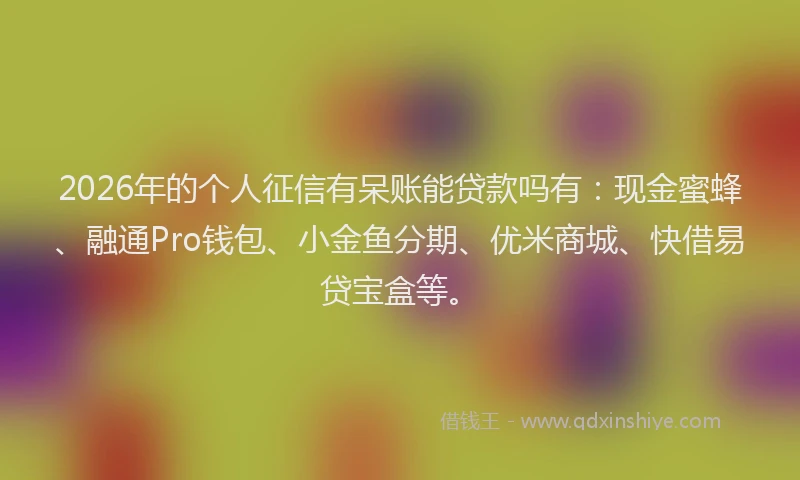 2026年的个人征信有呆账能贷款吗有：现金蜜蜂、融通Pro钱包、小金鱼分期、优米商城、快借易贷宝盒等。