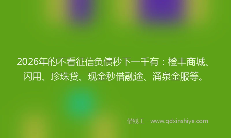 2026年的不看征信负债秒下一千有：橙丰商城、闪用、珍珠贷、现金秒借融途、涌泉金服等。