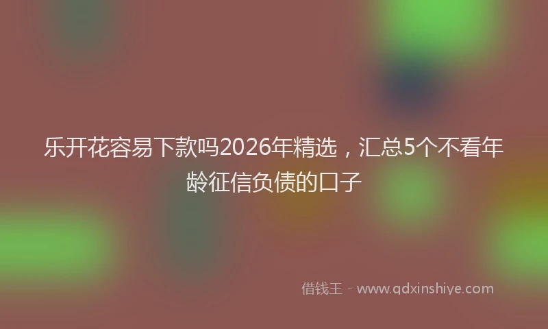 乐开花容易下款吗2026年精选，汇总5个不看年龄征信负债的口子
