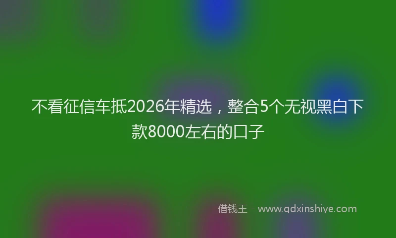 不看征信车抵2026年精选，整合5个无视黑白下款8000左右的口子