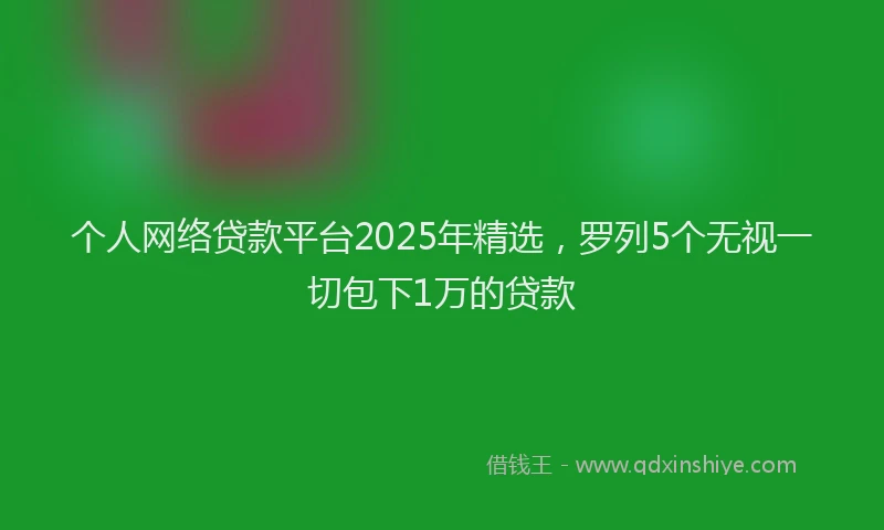 个人网络贷款平台2025年精选，罗列5个无视一切包下1万的贷款