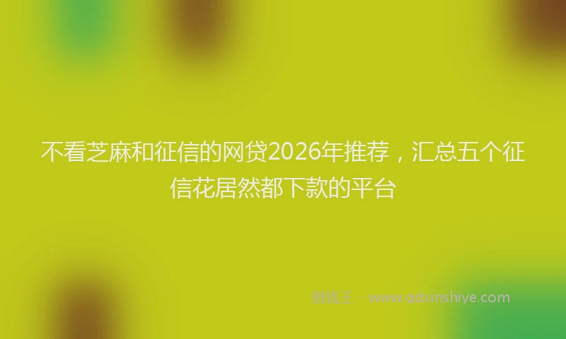 不看芝麻和征信的网贷2026年推荐，汇总五个征信花居然都下款的平台