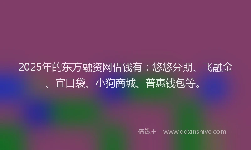 2025年的东方融资网借钱有：悠悠分期、飞融金、宜口袋、小狗商城、普惠钱包等。